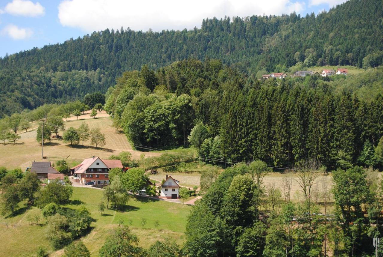 Ferienwohnung Treyer Oppenau Buitenkant foto